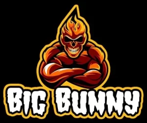 BIGBUNNY CASINO